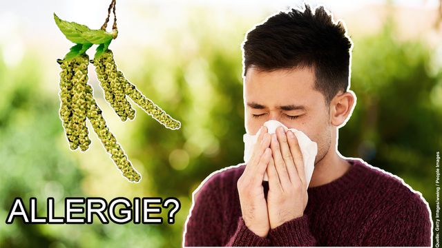Lästiger Heuschnupfen: So lindern Sie Ihre Pollenallergie