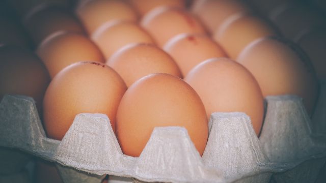 Bio-Eier im Test: Ökotest untersucht 20 Marken