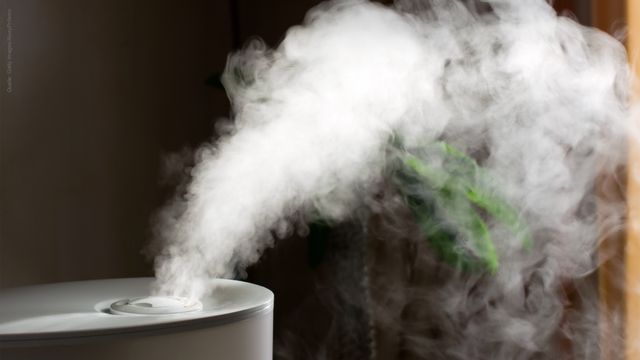 Luftentfeuchter wasser giftig - Die hochwertigsten Luftentfeuchter wasser giftig im Überblick!