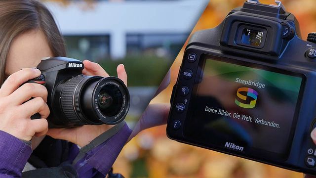 Nikon D3400 im Review