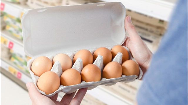 Rohe Eier richtig aufbewahren